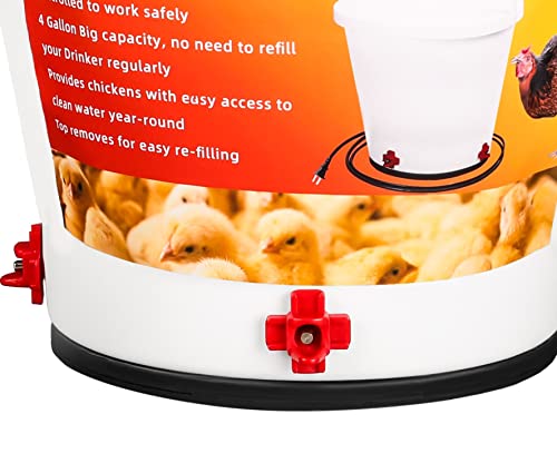 4 Gallon Heated Poultry Drinker M116839