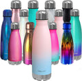 17 oz Double Wall Insulated Stainless Steel Water Bottle G938