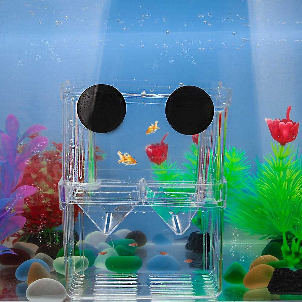 Plastic Fish Isolation Breeding Box G874040