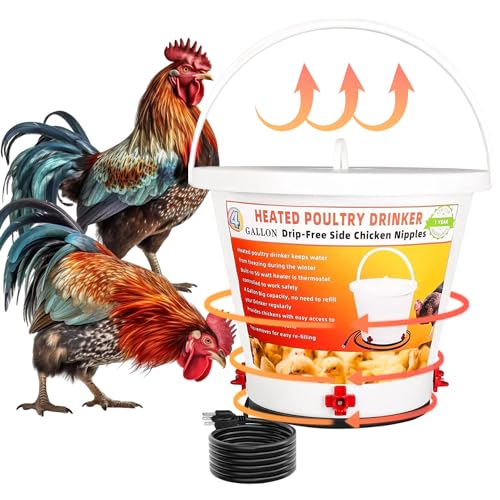 4 Gallon Heated Poultry Drinker M116839