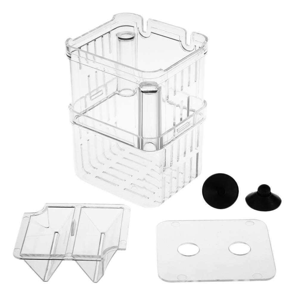 Plastic Fish Isolation Breeding Box G874040