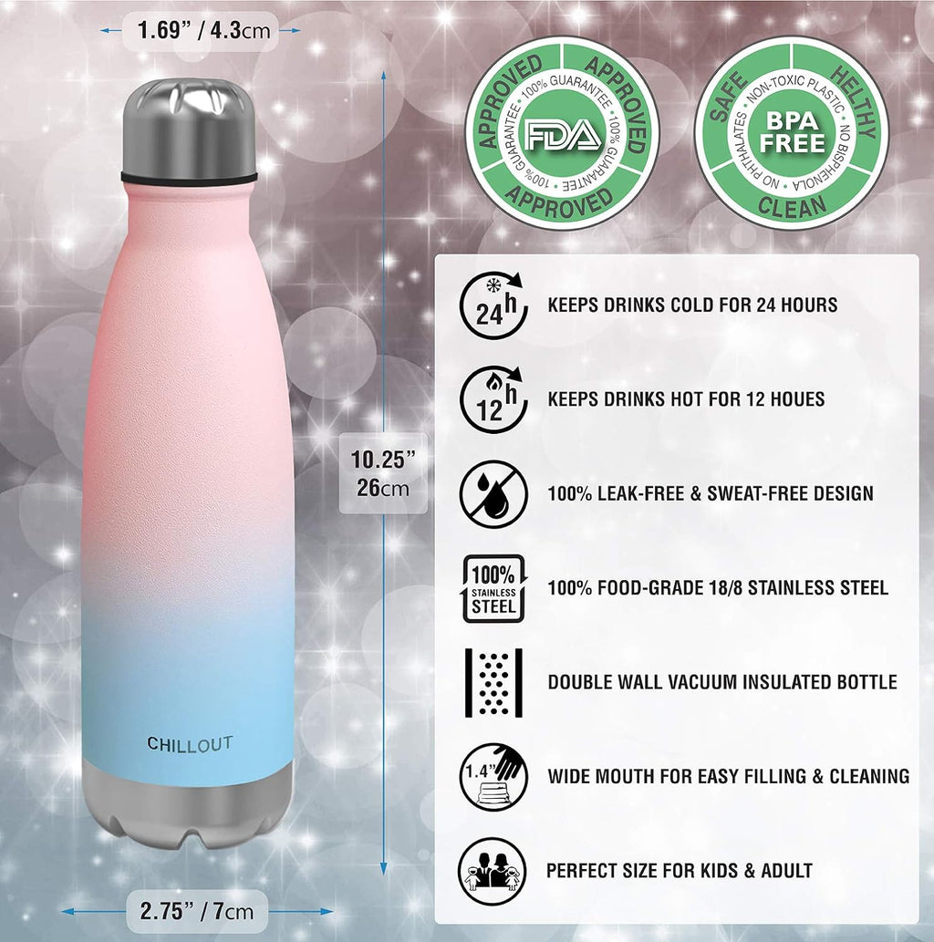 17 oz Double Wall Insulated Stainless Steel Water Bottle G938