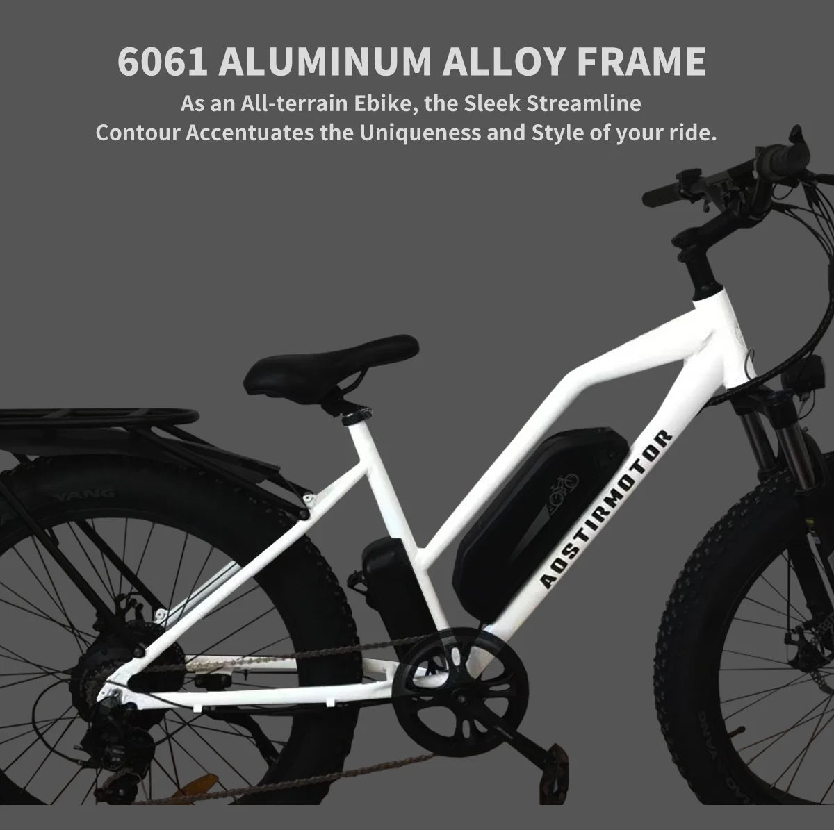 750W Electric Bike with Removable 48V 13Ah Li-Ion Battery G2651