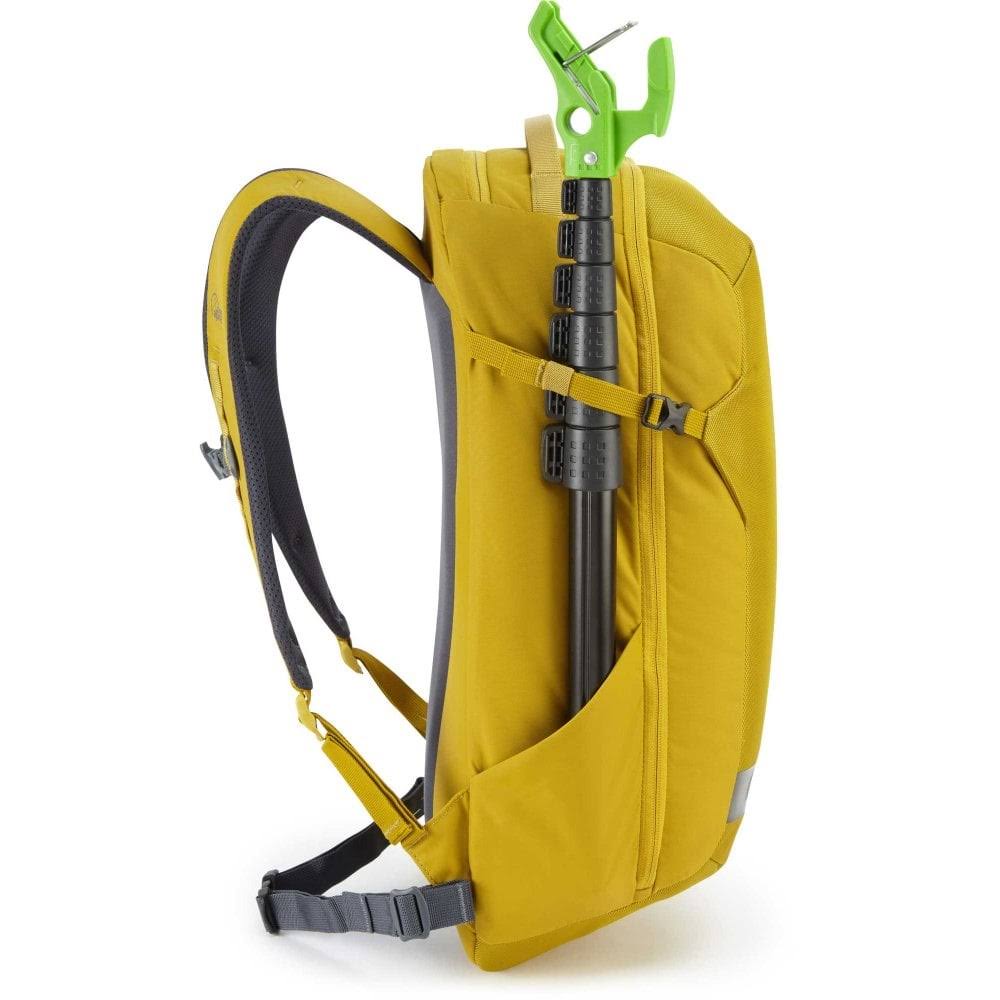 Golden Palm 27L Backpack I645503