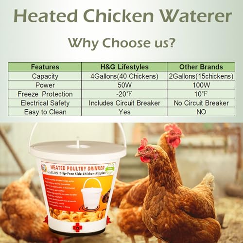4 Gallon Heated Poultry Drinker M116839
