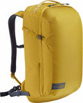 Golden Palm 27L Backpack I645503