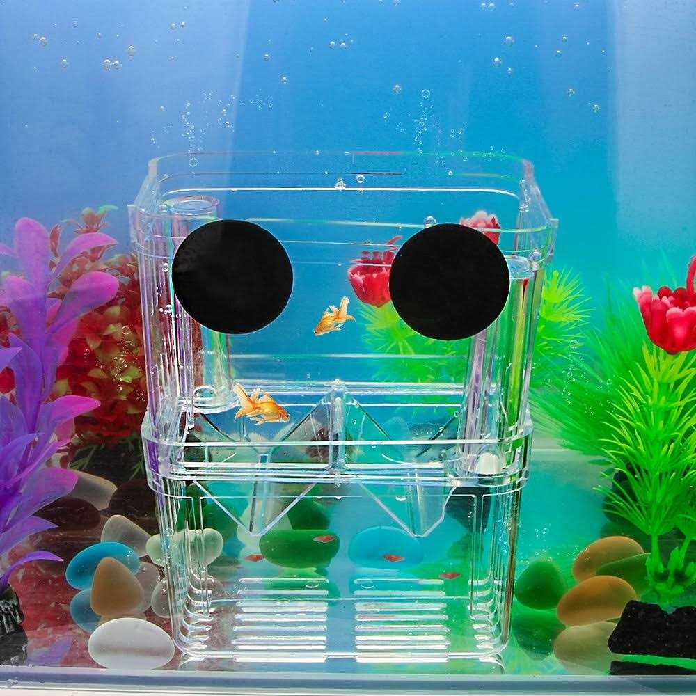 Plastic Fish Isolation Breeding Box G874040