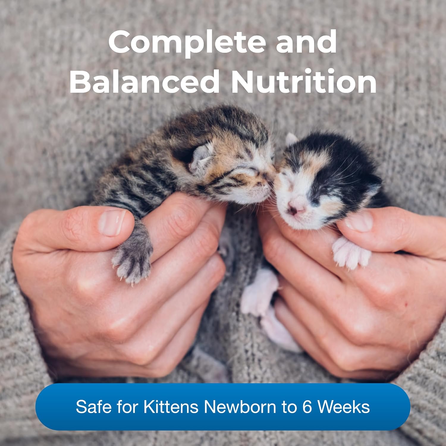 11 oz Ready-to-Feed Kitten Milk Replacer Liquid P578